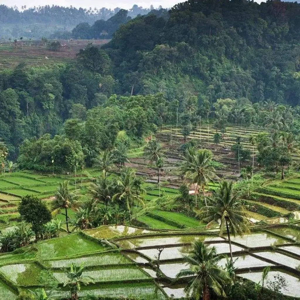 Explore Bali, Lombok and the Gili Islands for 12 days with Culture Trip and discover unforgettable experiences - Photo 2