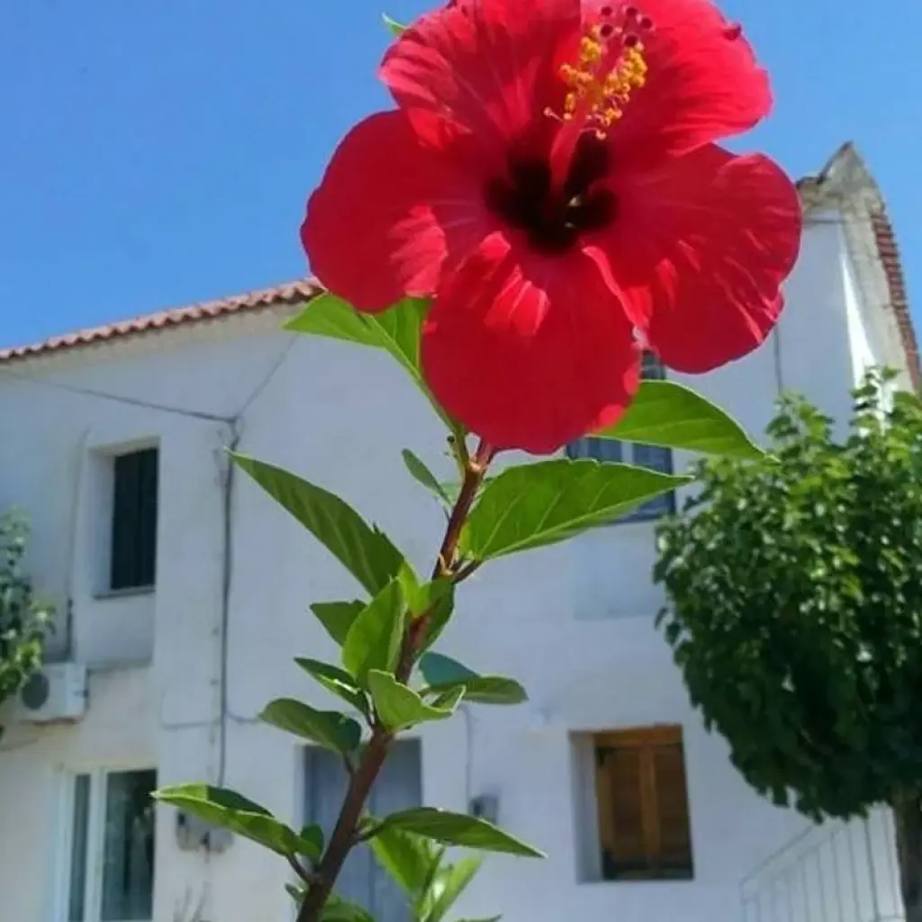 Explore Messinia Coastal Tour Self Guided for 7 days with Cycle Green Tours and discover unforgettable experiences - Photo 2