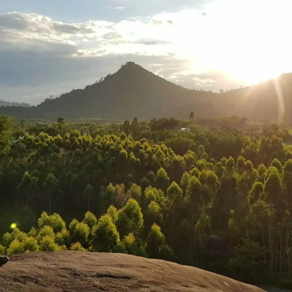 Explore Venturing Vietnam Motorbike Tour on Ho Chi Minh Trail via Central Highlands for 15 days with DNQ Travel and discover unforgettable experiences - Photo 2