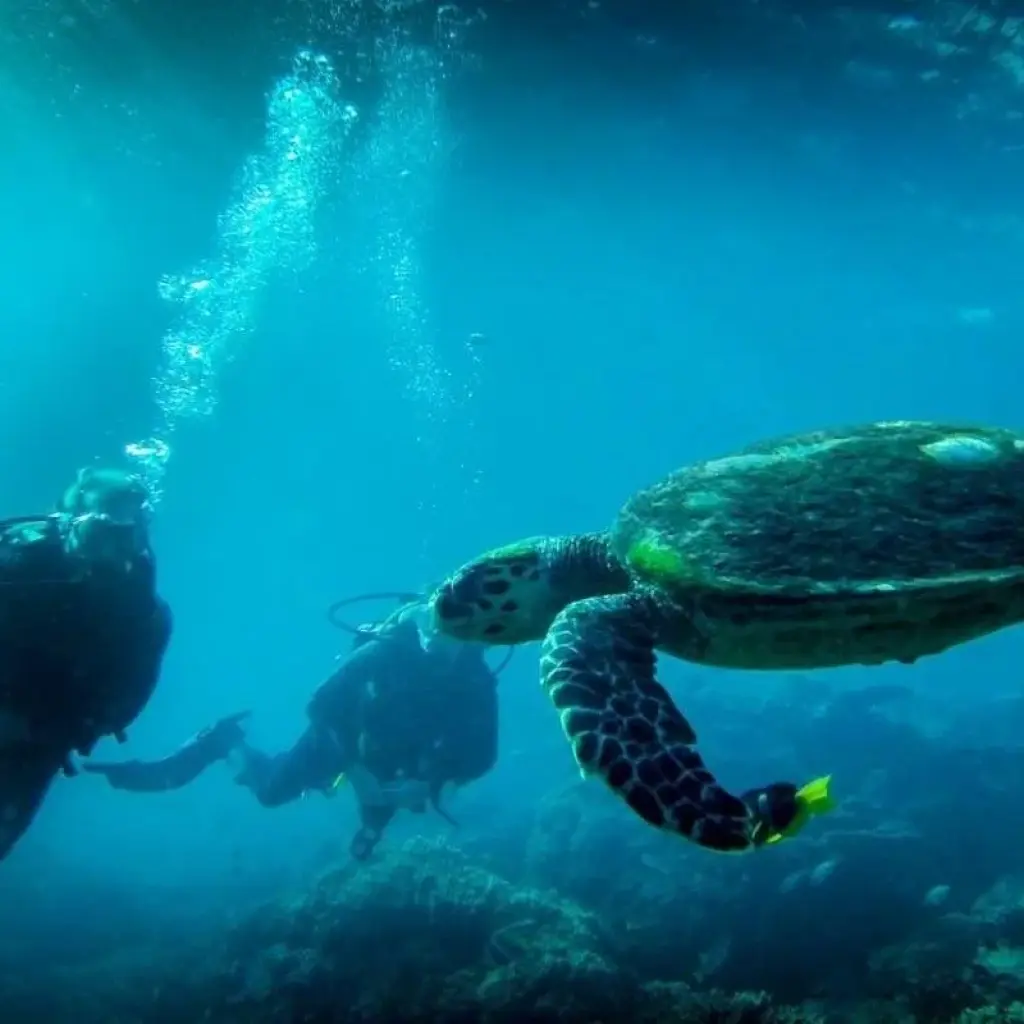 Explore 4 Star Dubai Magic 6 Days / 5 Nights for 6 days with Daytur Dubai and discover unforgettable experiences - Photo 4