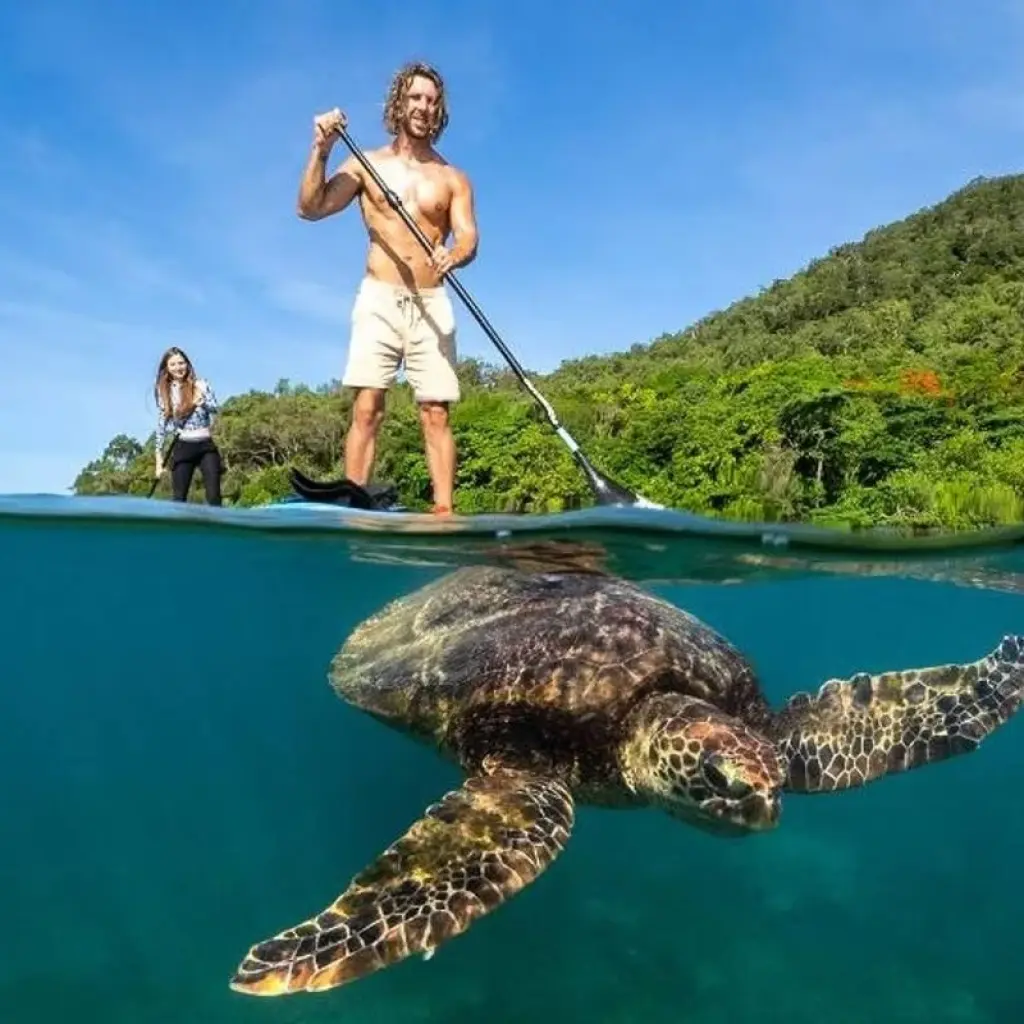 Explore 【Cairns】All Inclusive 7 Days Touring Package with Fitzroy Island Package for 7 days with Delightful Travel and discover unforgettable experiences - Photo 2