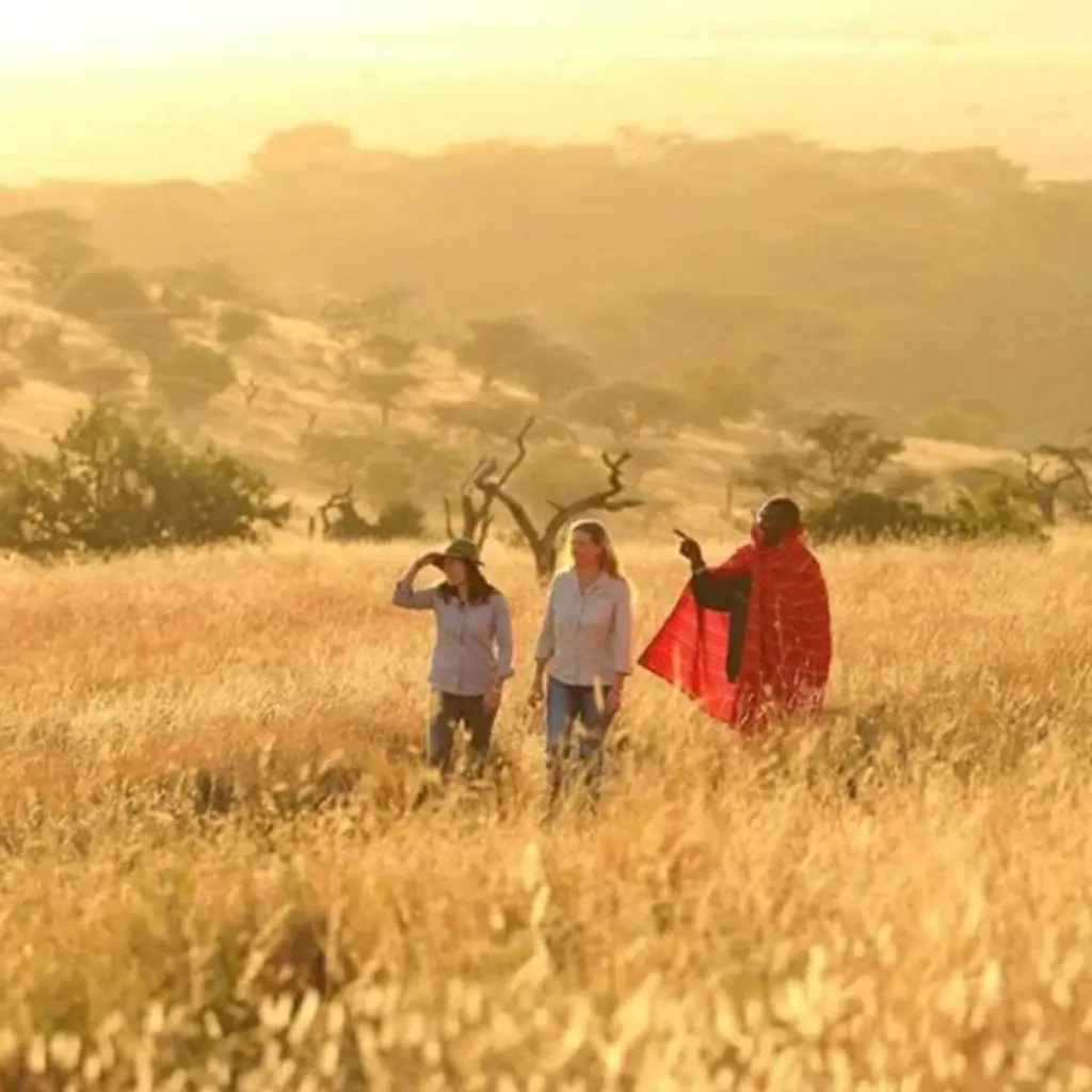 Explore 【Kenya】6 Days Superior Safari Tour Packages for 6 days with Delightful Travel and discover unforgettable experiences - Photo 2