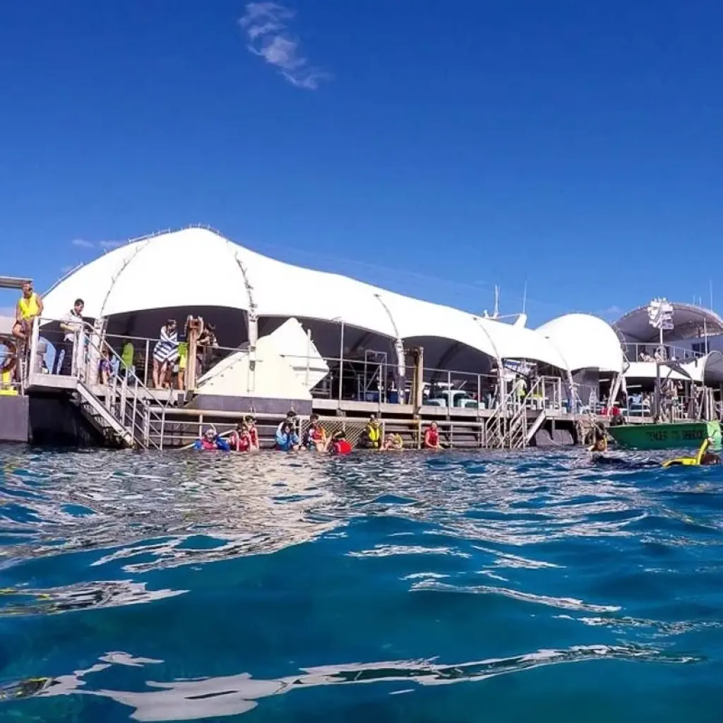 Explore 【Cairns】6 Days Escape Package for 6 days with Delightful Travel and discover unforgettable experiences - Photo 2