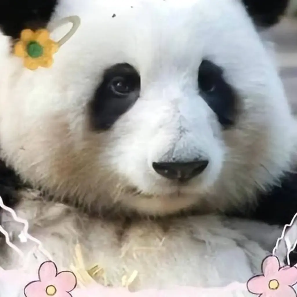 Explore 【 China】Sichuan 8-Day Heritage Discovery through Ancient Shu Culture and Jiuzhai Huanglong Package for 8 days with Delightful Travel and discover unforgettable experiences - Photo 9