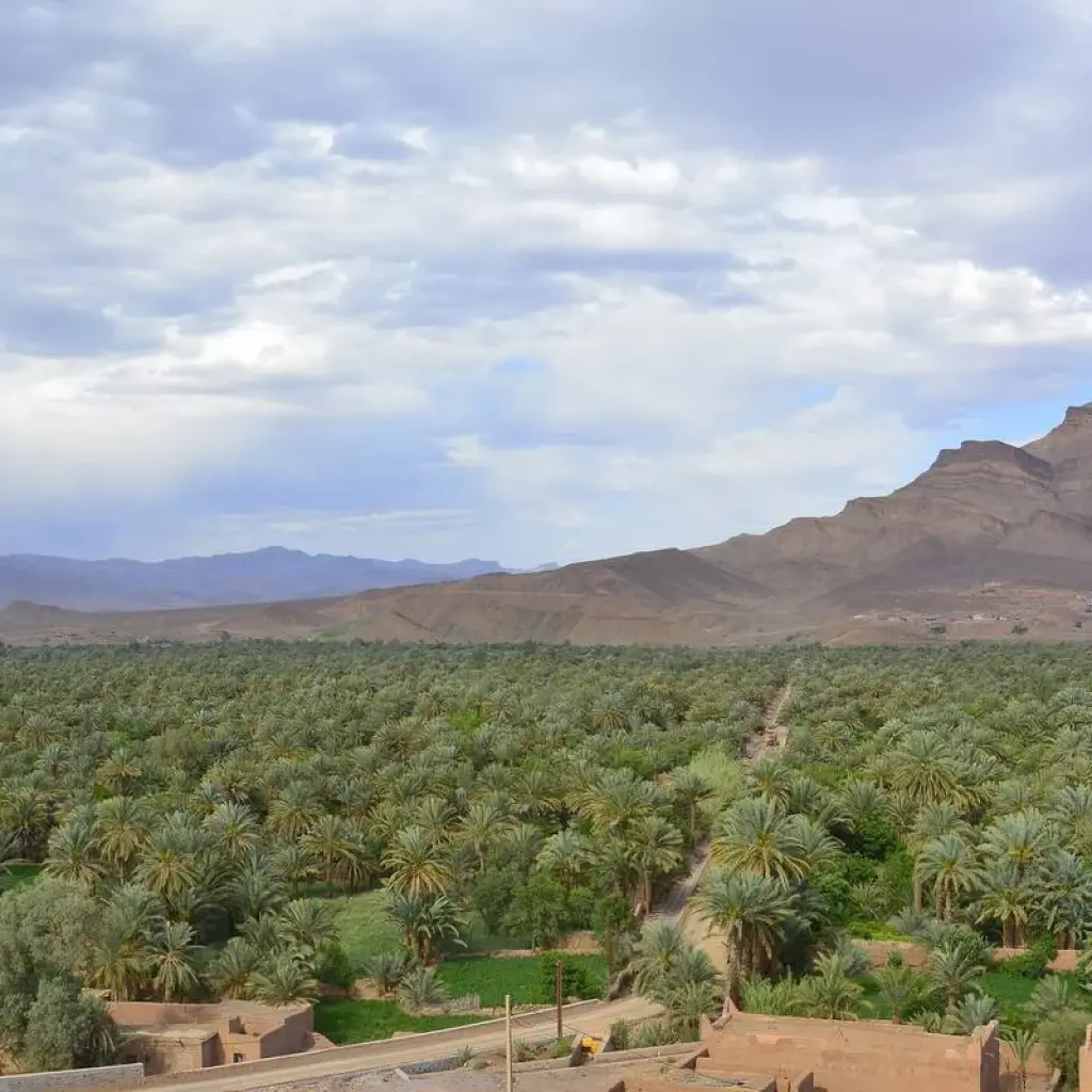 Explore 3 days From Marrakech Erg Chigaga for 3 days with Desertbrise Travel and discover unforgettable experiences - Photo 2