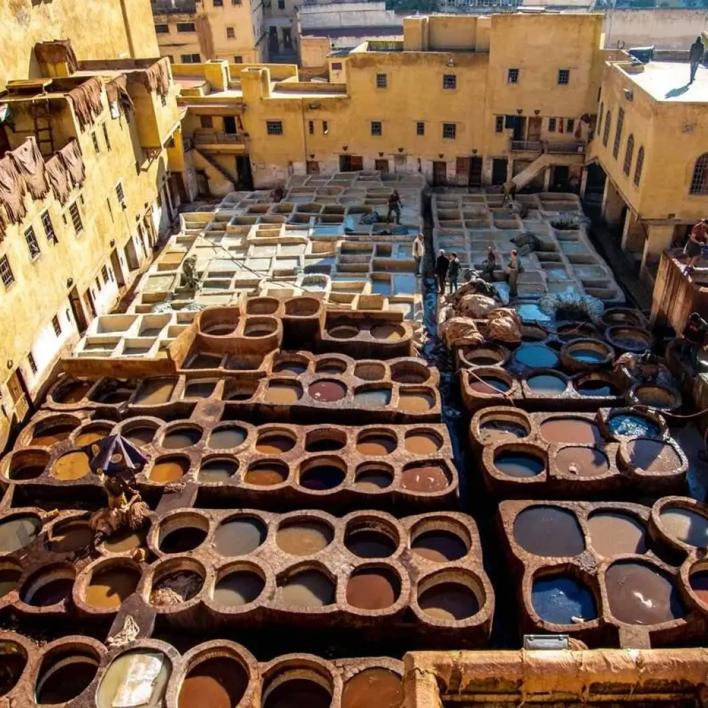Explore Morocco for Families: Fes, Marrakech & Essaouira - 15 Days for 15 days with Desertbrise Travel and discover unforgettable experiences - Photo 2
