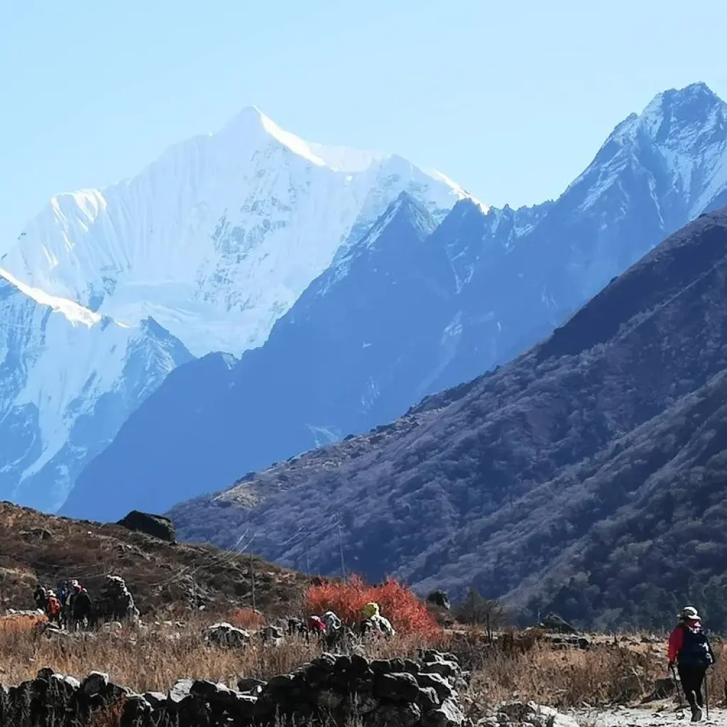 Explore Ideal Langtang Valley Trekking for 9 days with Destination Unlimited Treks and Expeditions Pvt Ltd and discover unforgettable experiences - Photo 2