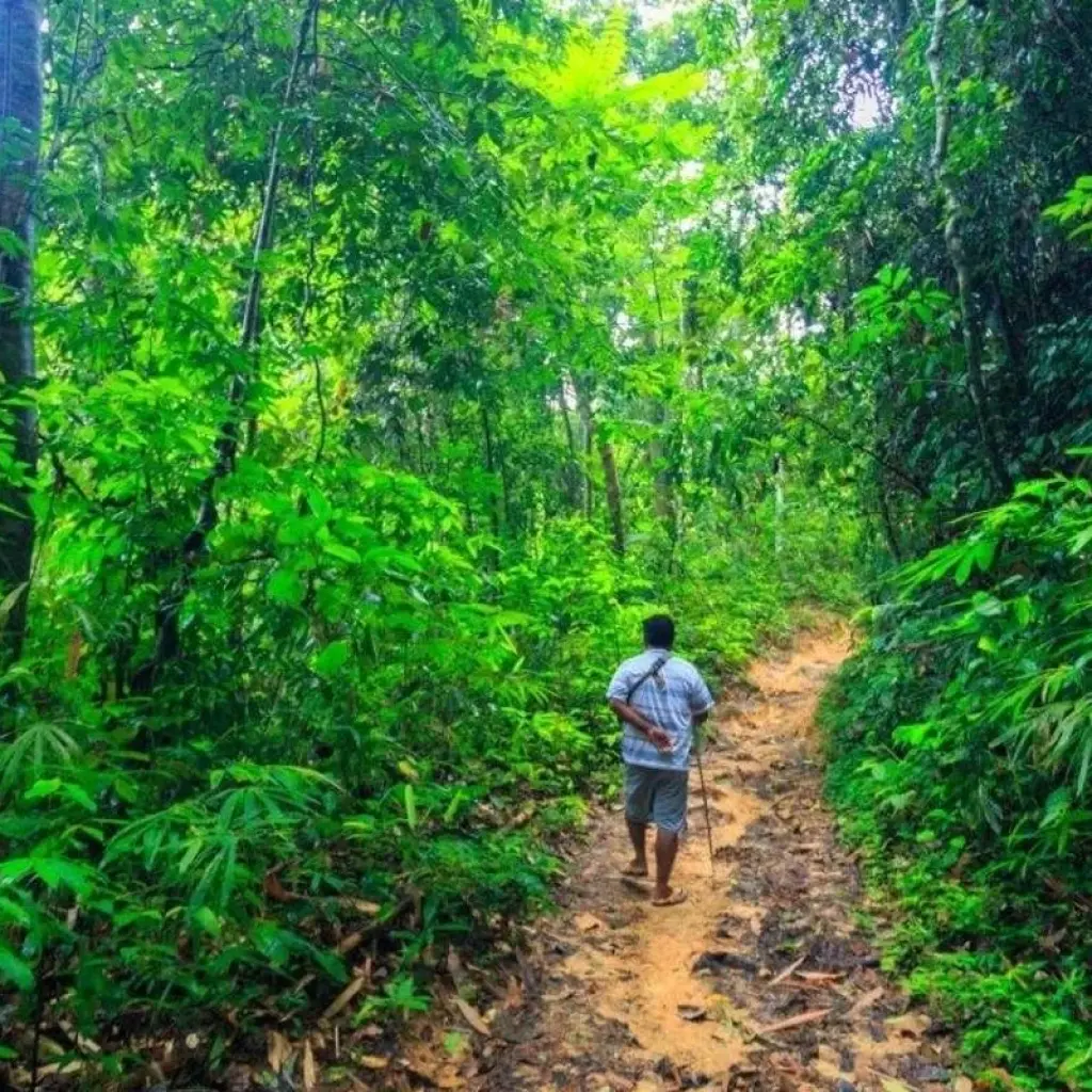 Explore Khao Sok Discovery, Private Tour for 3 days with Destination Services Thailand and discover unforgettable experiences - Photo 2