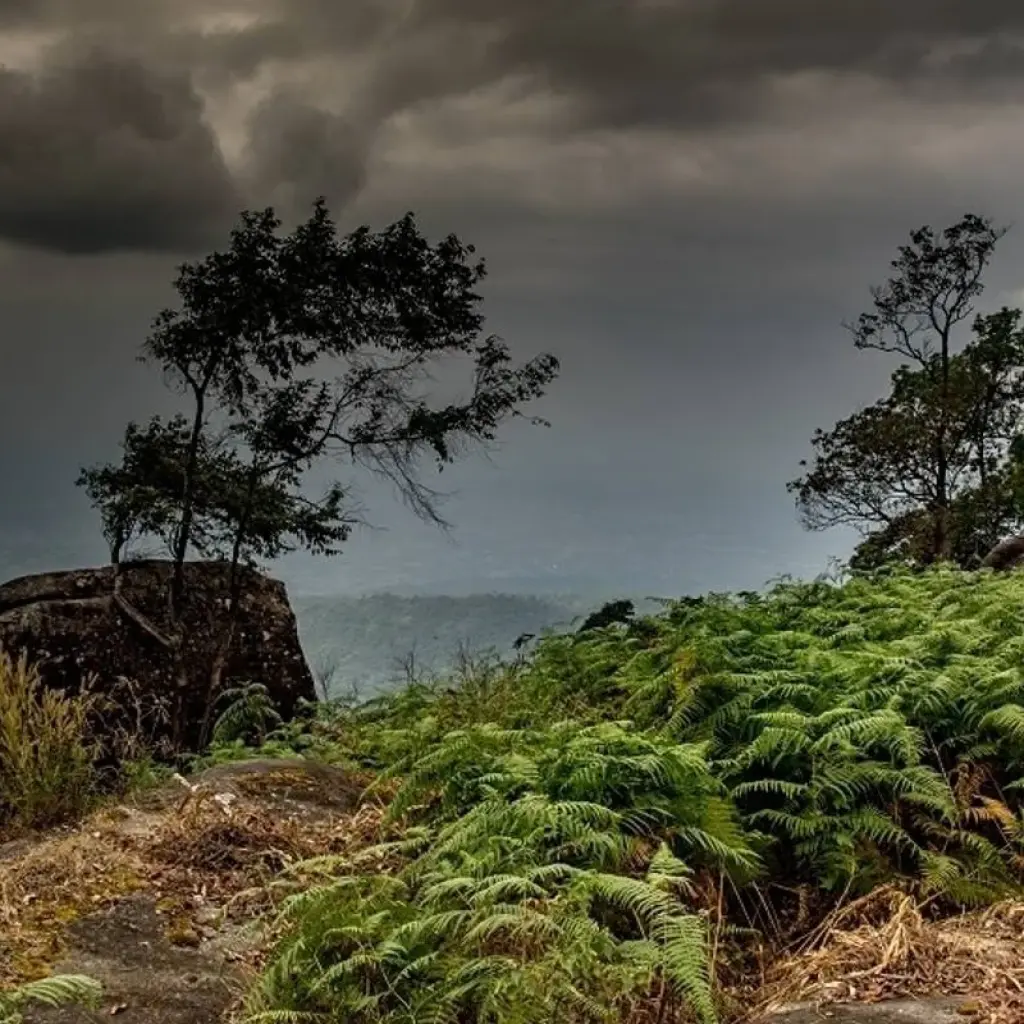 Explore North Isaan and the Mekong, Private Tour for 4 days with Destination Services Thailand and discover unforgettable experiences - Photo 2