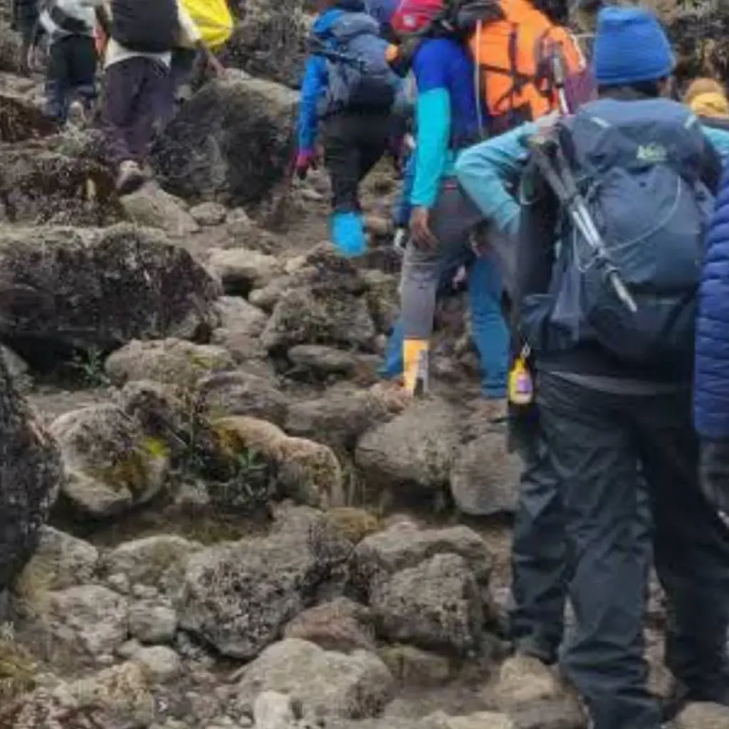 Explore Climb Kilimanjaro - Machame Route 7 days for 9 days with Devine African Safaris Ltd and discover unforgettable experiences - Photo 2