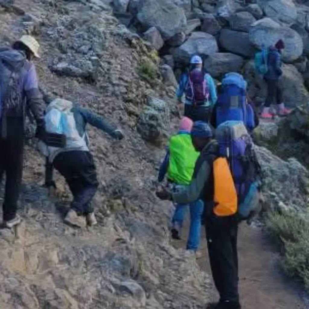 Explore Climb Kilimanjaro - Lemosho Route 7 Day Daily Departures for 9 days with Devine African Safaris Ltd and discover unforgettable experiences - Photo 2