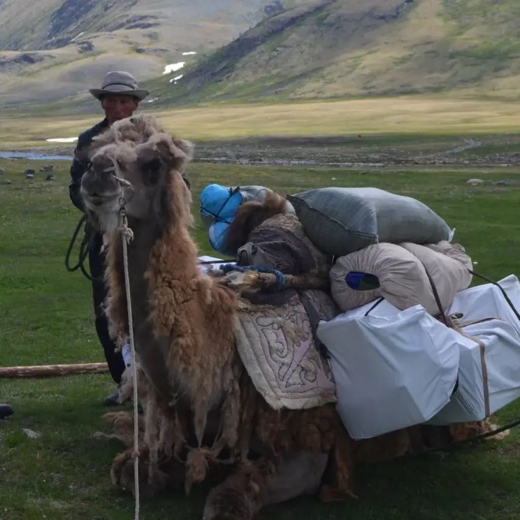 Explore Trekking in the Altai Mountains of Mongolia for 10 days with Discover Altai and discover unforgettable experiences - Photo 2