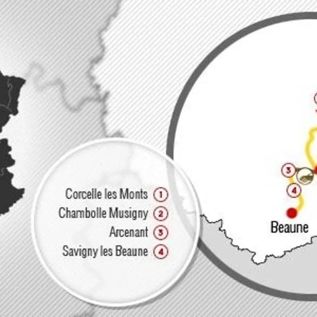Explore Burgundy Walking Tour for 6 days with Discover France Adventures and discover unforgettable experiences - Photo 2