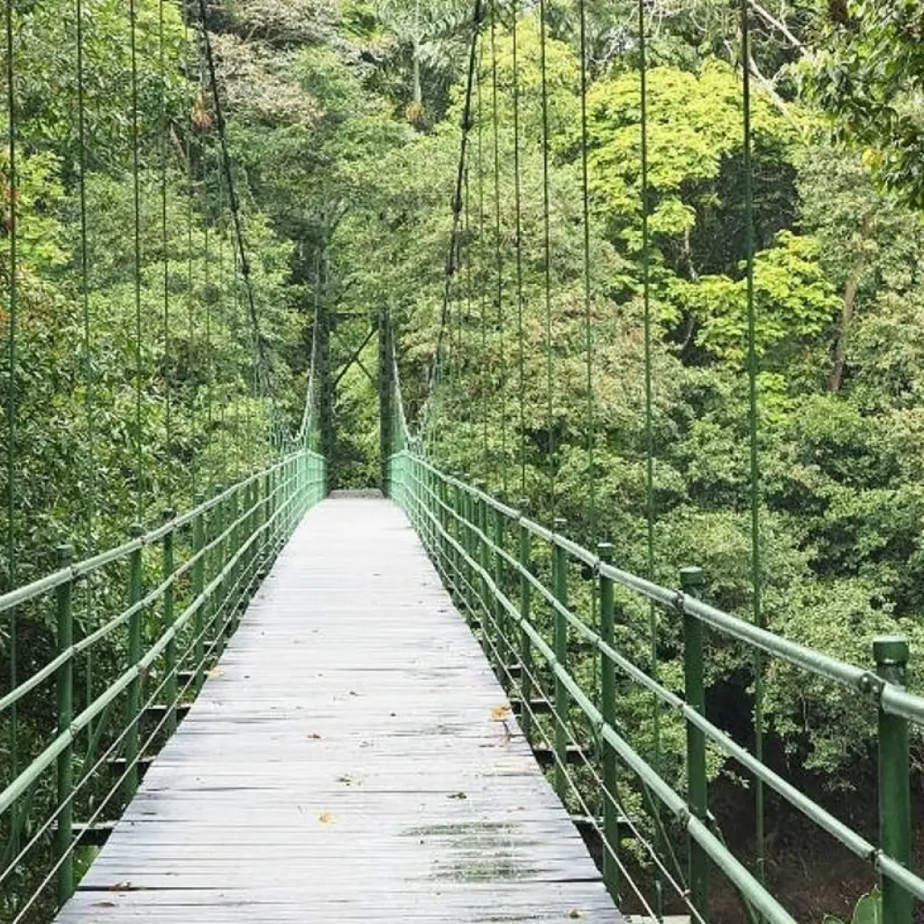 Explore Costa Rica – Family Volunteer Adventure for 8 days with Discover Corps and discover unforgettable experiences - Photo 2