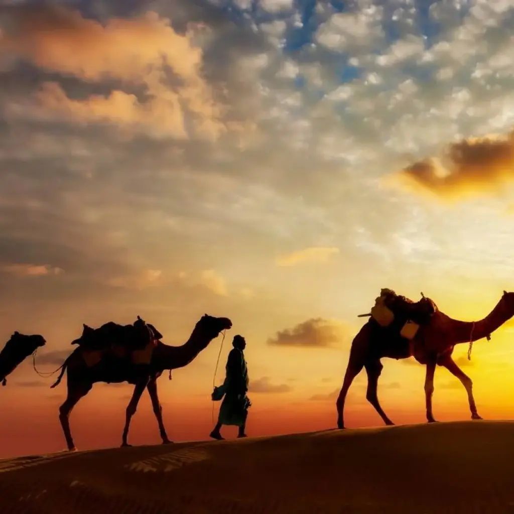 Explore 11 days 10 Nights  Morocco private  tour from Casablanca for 11 days with Discover Morocco Tours and discover unforgettable experiences - Photo 2