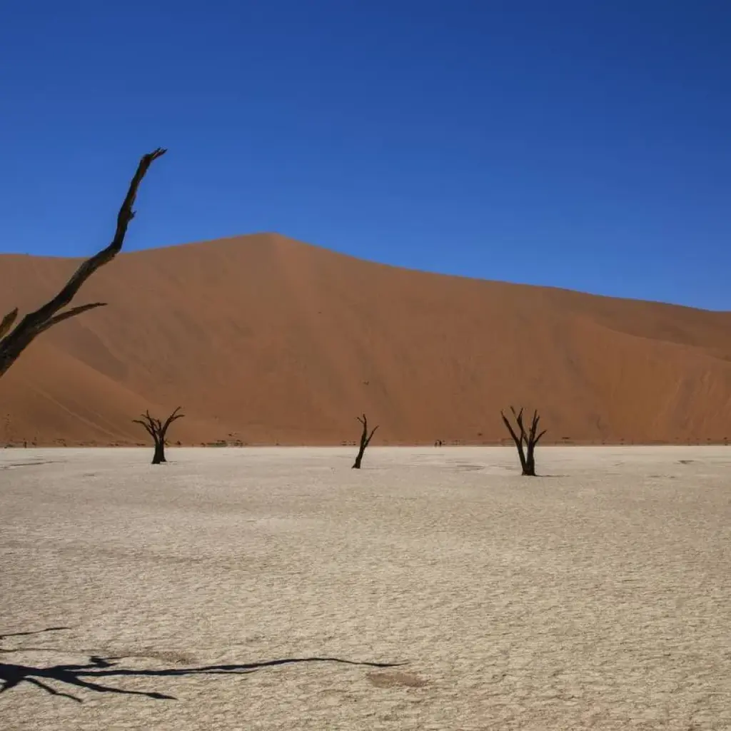 Explore 3-Day Sossusvlei Experience (lodging) for 3 days with Discovery Transfers and Tours and discover unforgettable experiences - Photo 2