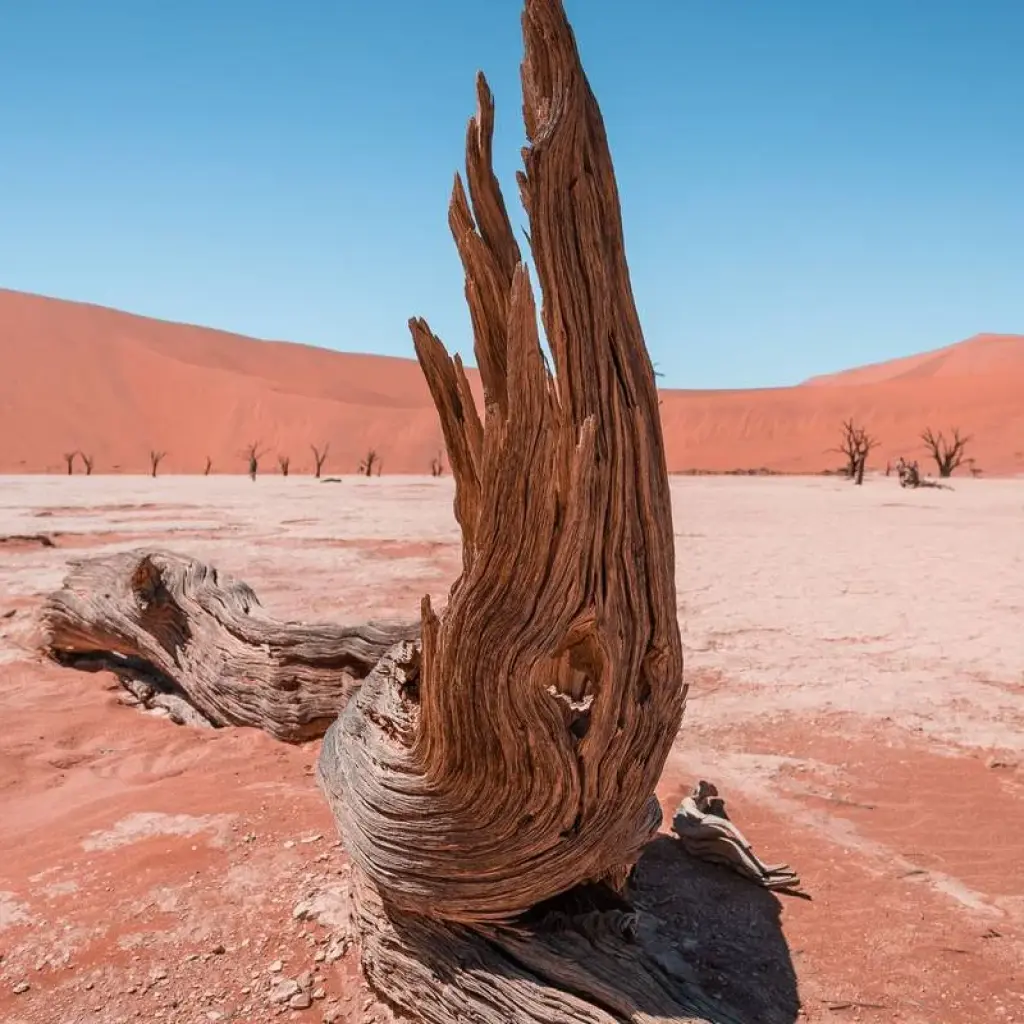 Explore 8-Day Sossusvlei, Swakop, Twyfelfontein & Etosha NP (Camping) for 8 days with Discovery Transfers and Tours and discover unforgettable experiences - Photo 2