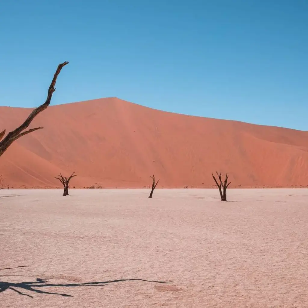 Explore 8-Day Sossusvlei, Swakop, Twyfelfontein & Etosha (Lodging) for 8 days with Discovery Transfers and Tours and discover unforgettable experiences - Photo 2