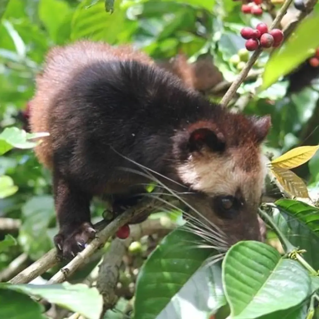 Explore 7 Days Explore Bali and Nusa Penida for 7 days with Diwira Wisata Indonesia and discover unforgettable experiences - Photo 2