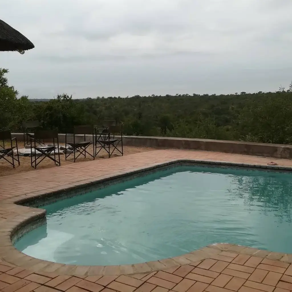 Explore 5 DAY - KRUGER SAFARI OVERLAND TOUR / ACCOMMODATED for 5 days with Drifters Adventure Tours and discover unforgettable experiences - Photo 2