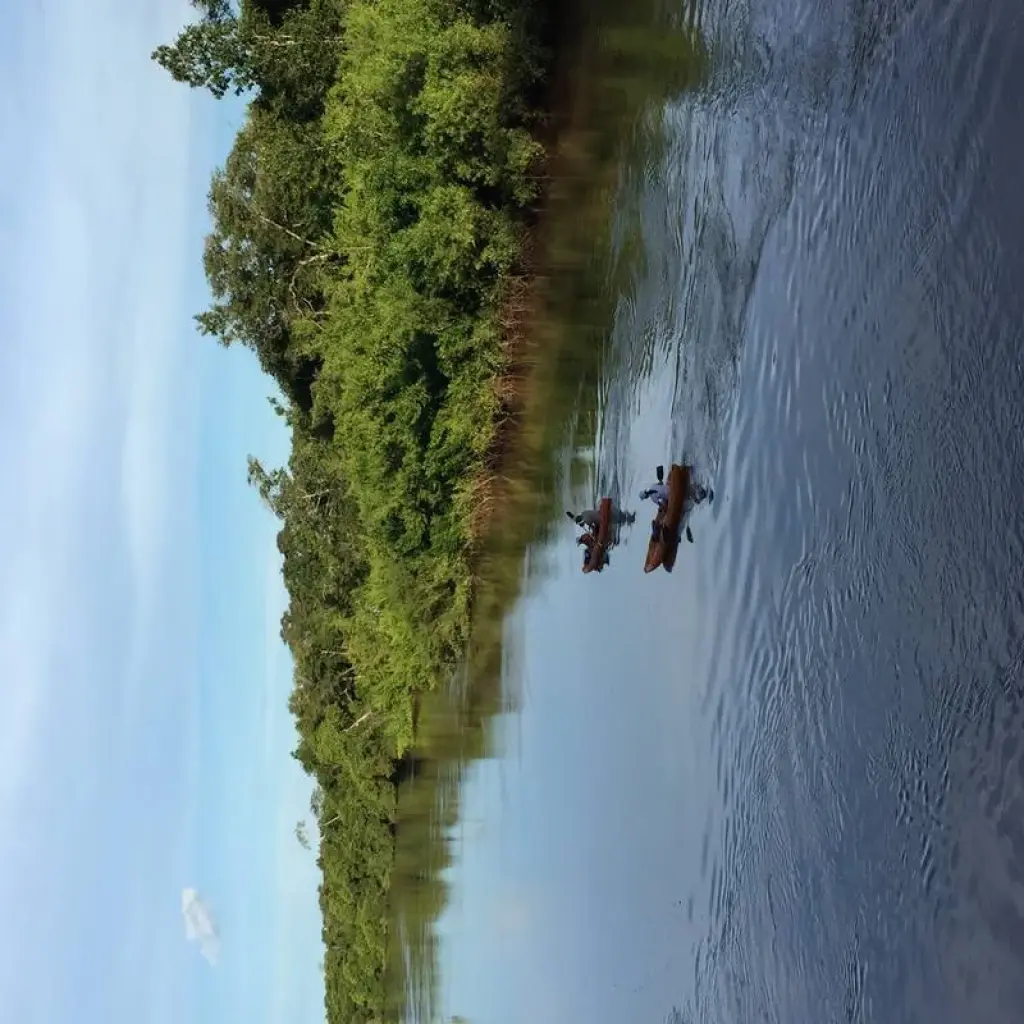 Explore On the tracks of the jaguar (incl. domestic flights) for 11 days with ETours Brazil DMC and discover unforgettable experiences - Photo 2