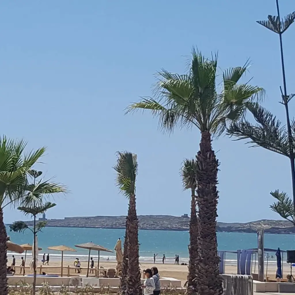 Explore Morocco Express 6 Days and 5 Nights for 6 days with Easygo Tours and discover unforgettable experiences - Photo 2