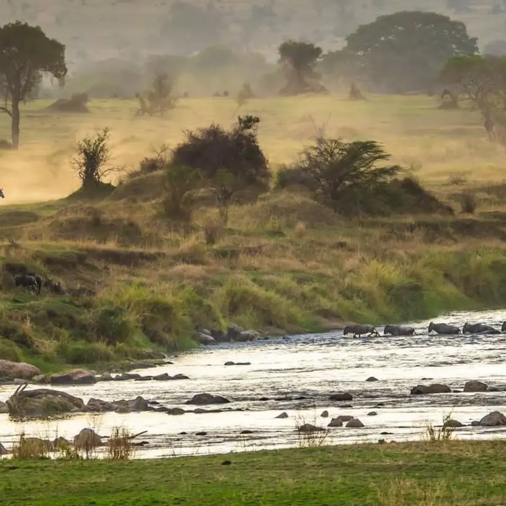 Explore 12-Day The Best Taste of Wildlife Culture and Beach for 12 days with Eatl Tour and Safari Group  and discover unforgettable experiences - Photo 2