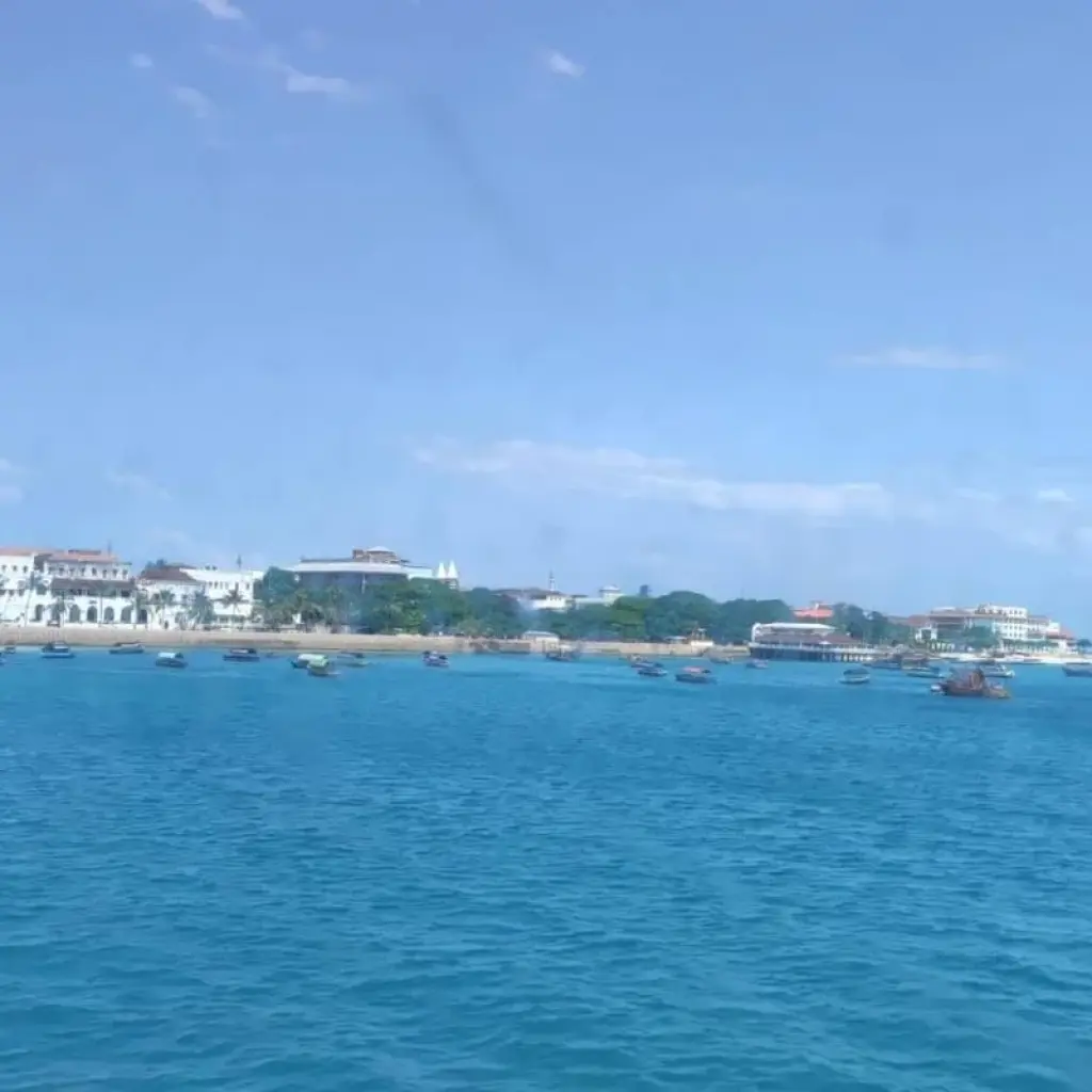 Explore Zanzibar Beach life for 7 days with Eatl Tour and Safari Group  and discover unforgettable experiences - Photo 2