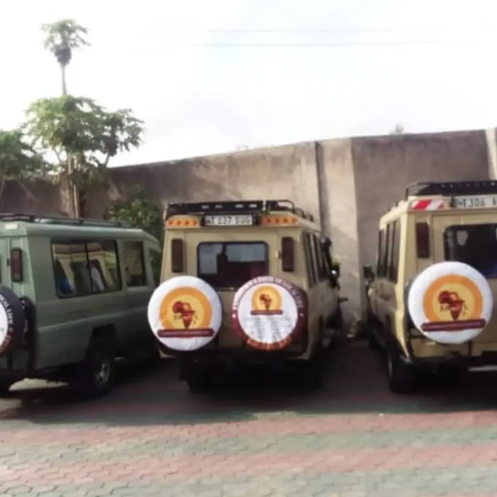 Explore 3-Day Tarangire, Ngorongoro  and Manyara Safari -Special Offer for 3 days with Eatl Tour and Safari Group  and discover unforgettable experiences - Photo 2