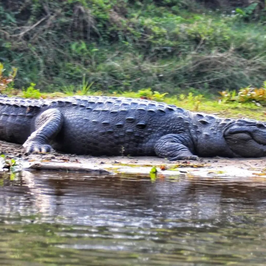Explore Nepal Photography Tour for 8 days with Eco Holidays Nepal and discover unforgettable experiences - Photo 2
