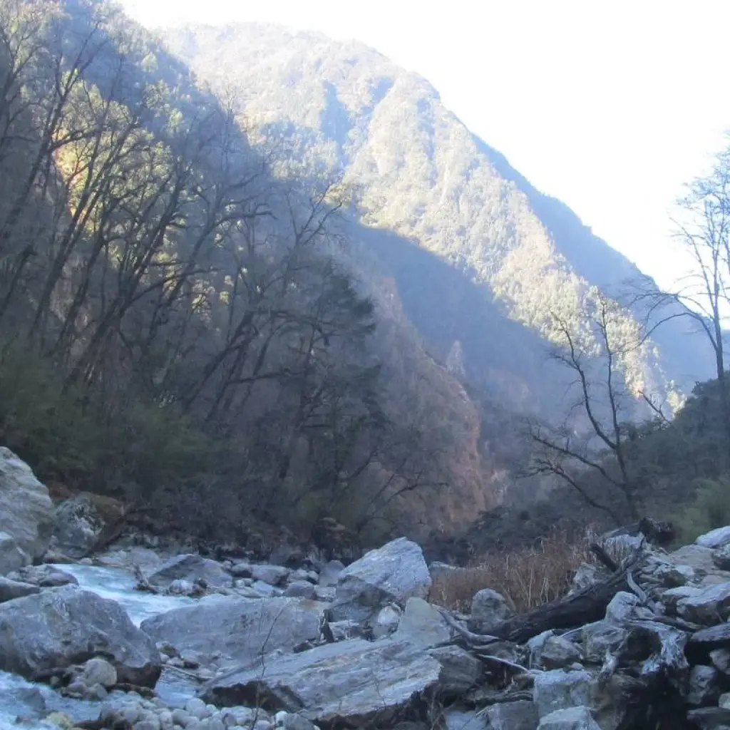 Explore Langtang Trek -11 Days for 11 days with Eco Holidays Nepal and discover unforgettable experiences - Photo 2