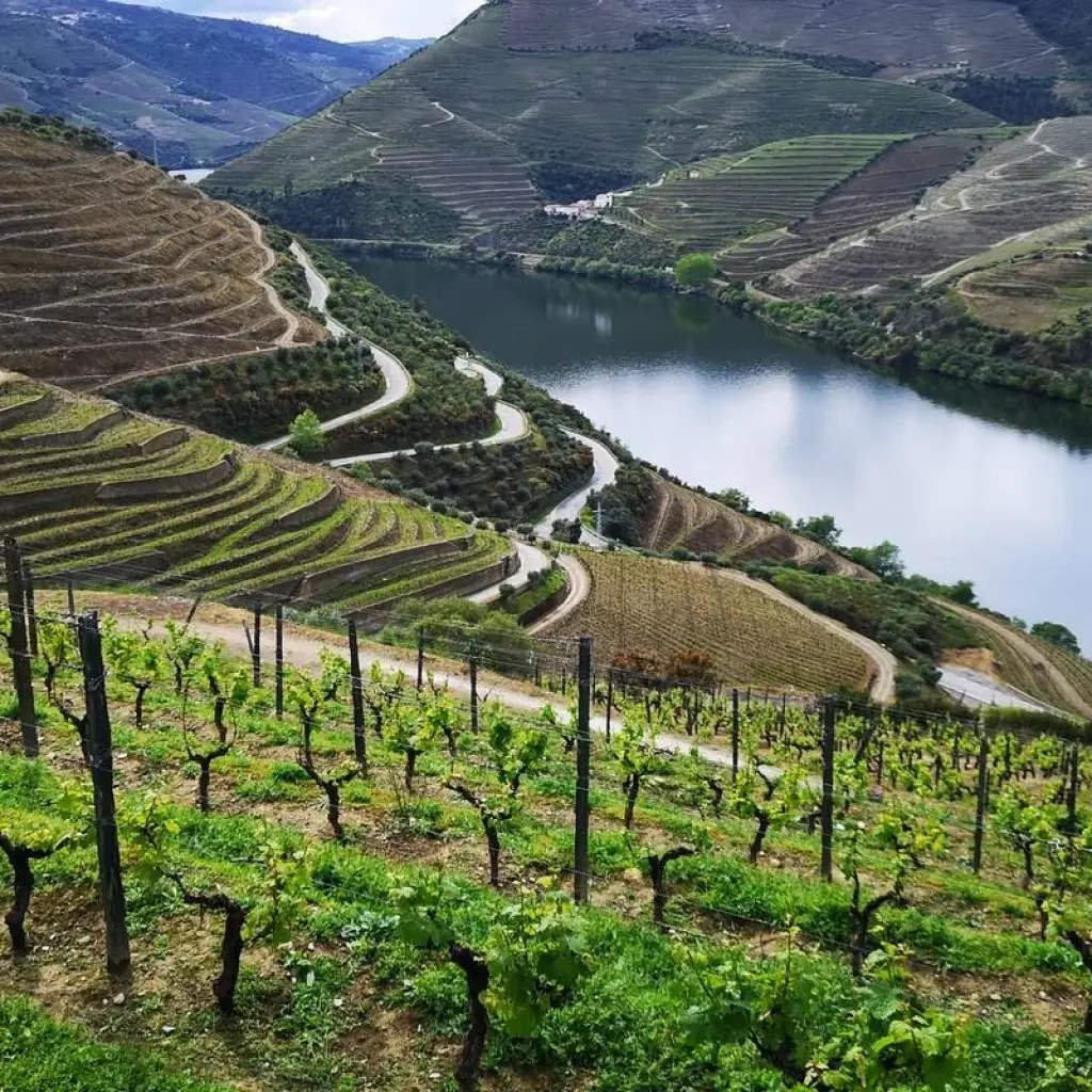 Explore 7-Day Small-Group Portugal Tours with Douro Valley for 7 days with EcoTrilha Portugal Tours and discover unforgettable experiences - Photo 2