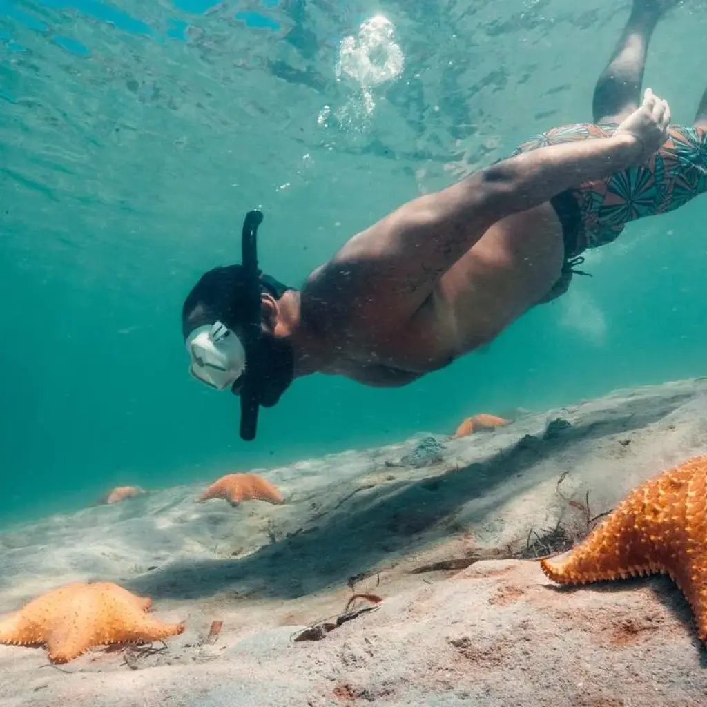 Explore Urban to Island: Panama City & Bocas Adventure for 7 days with EcoCircuitos Panama and discover unforgettable experiences - Photo 2