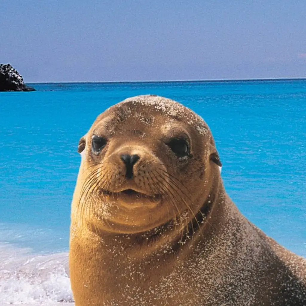 Explore Explore the wonders of Galapagos in this 5-day tour for 5 days with Ecuador Wonders and discover unforgettable experiences - Photo 2