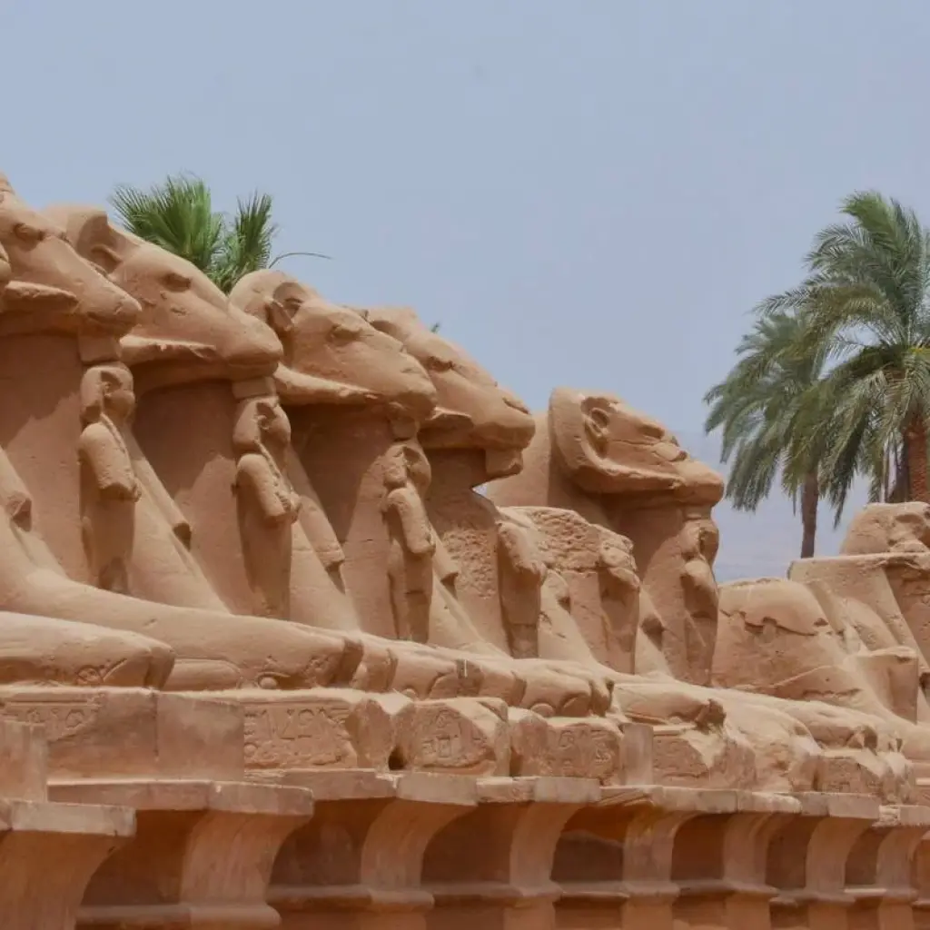 Explore 5* Nile Cruise from Aswan to Luxor 4 days with meals,& private sightseeing, tour guided for 4 days with Egypt Direct Tours and discover unforgettable experiences - Photo 2