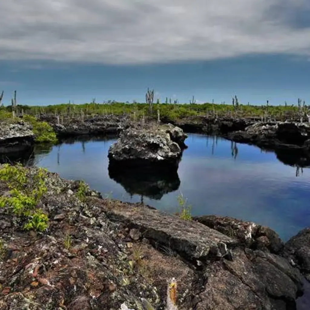 Explore Galapagos Essentials for 7 days with Encounters Travel and discover unforgettable experiences - Photo 2