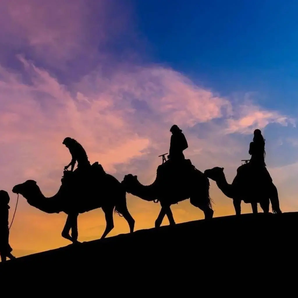Explore CASABLANCA to MARRAKECH (14 days) Morocco Encompas for 14 days with Encounters Travel and discover unforgettable experiences - Photo 6