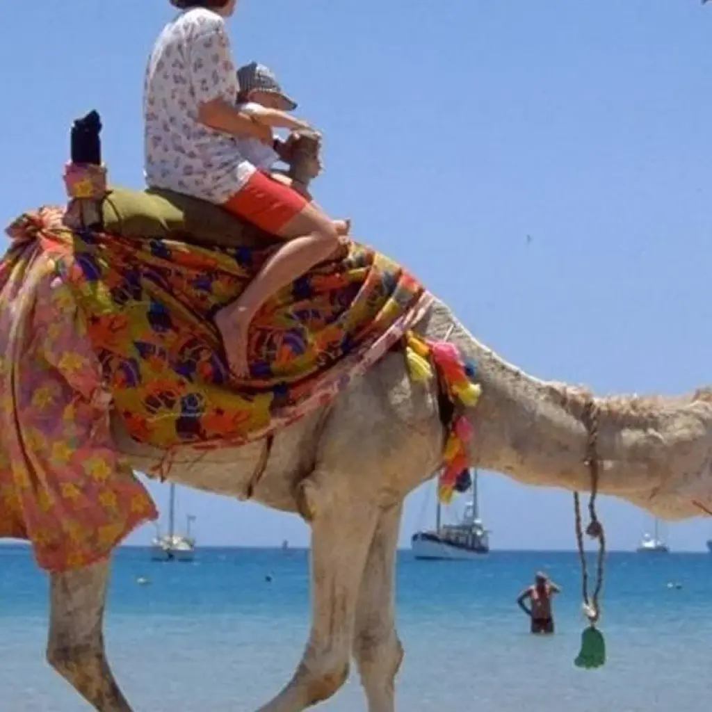 Explore Nile Family Adventure for 9 days with Encounters Travel and discover unforgettable experiences - Photo 2