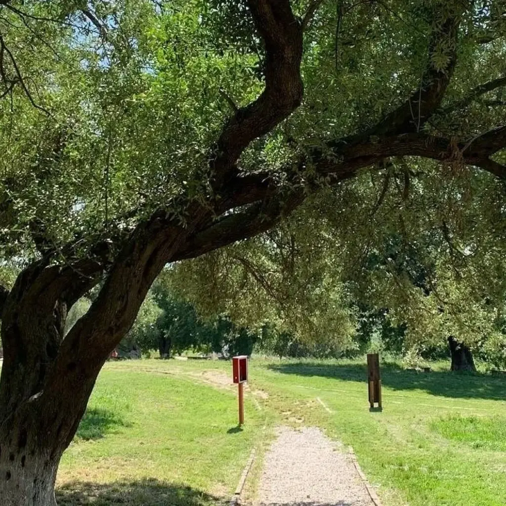Explore 5 Days Summer Beach Holidays mixed with Sightseeing's for 5 days with Enjoy Travel and Tours and discover unforgettable experiences - Photo 2
