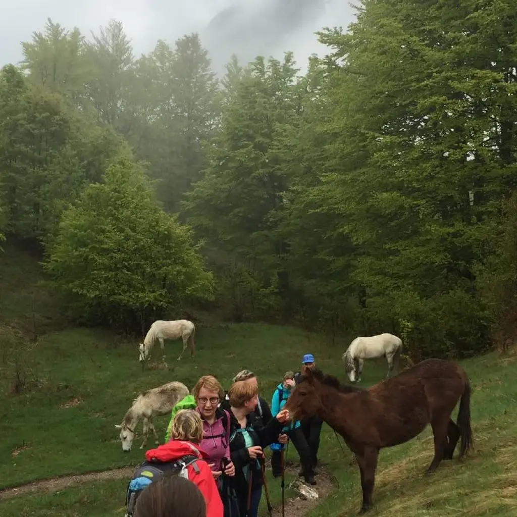 Explore 5 Days Full Hiking Tour to Valbona and Thethi for 5 days with Enjoy Travel and Tours and discover unforgettable experiences - Photo 2
