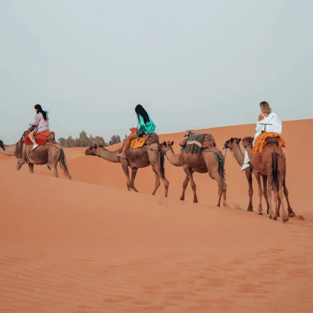 Explore 3 Day Sahara Tour - Marrakech to Fes via Merzouga, Morocco for 3 days with Escorted Morocco Tours and discover unforgettable experiences - Photo 2