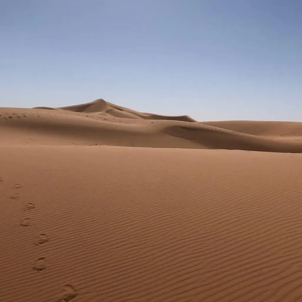 Explore 5 Days Sahara Desert Tour From Marrakech to Fes, Morocco for 5 days with Escorted Morocco Tours and discover unforgettable experiences - Photo 2