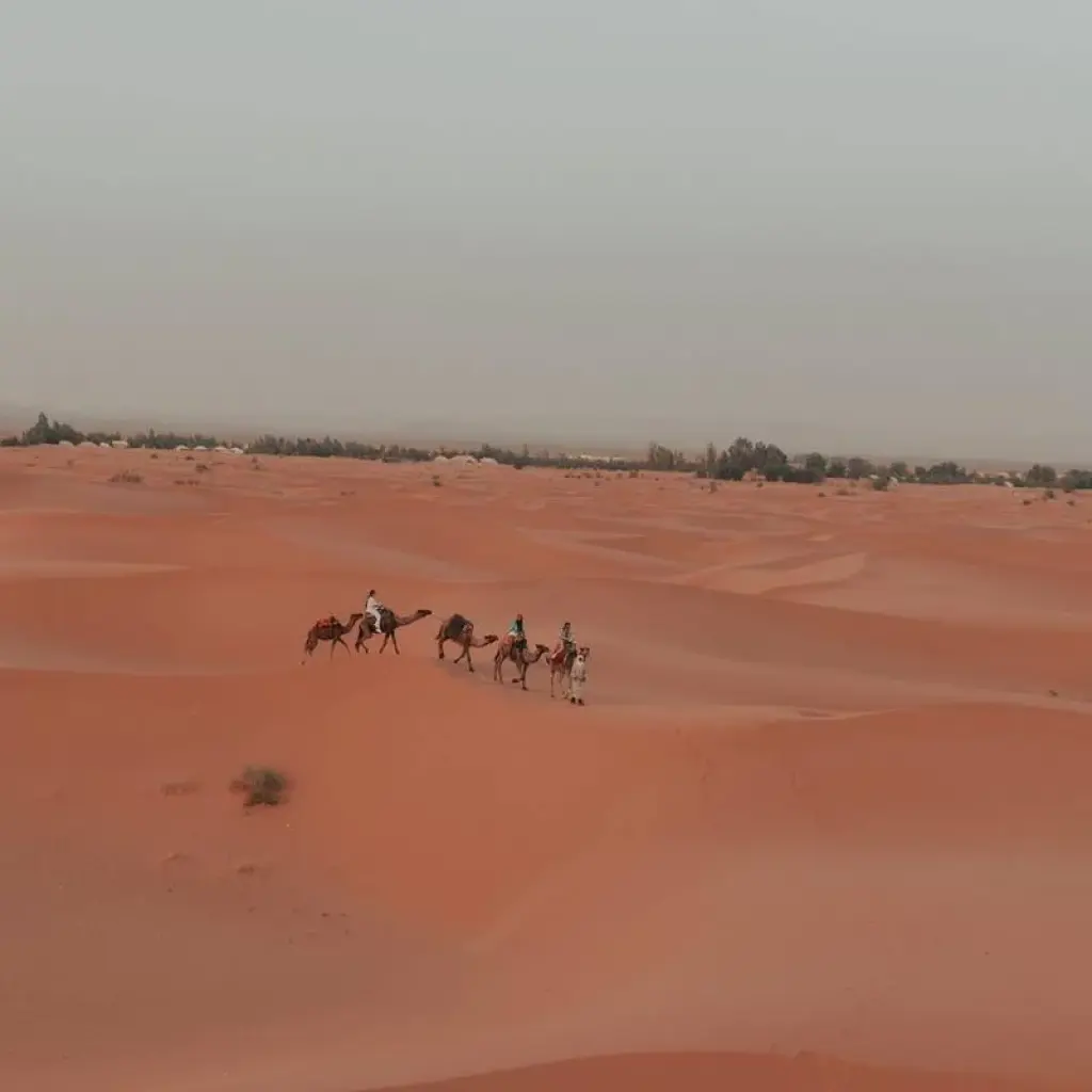 Explore 3-Day, 2-Night Camp Adventure from Fes to Marrakech for 3 days with Escorted Morocco Tours and discover unforgettable experiences - Photo 2