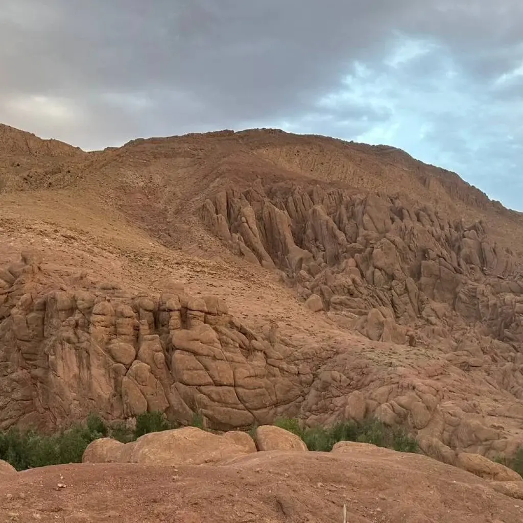 Explore 12 Days Ultimate Morocco Guided Tour Fes to Tanger for 12 days with Escorted Morocco Tours and discover unforgettable experiences - Photo 2