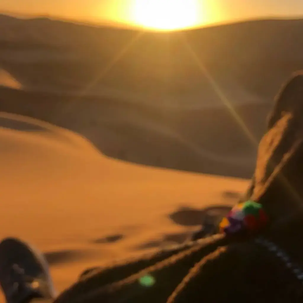 Explore 5 Days Morocco Desert Tour From Fes to Marrakesh, Morocco for 5 days with Escorted Morocco Tours and discover unforgettable experiences - Photo 2