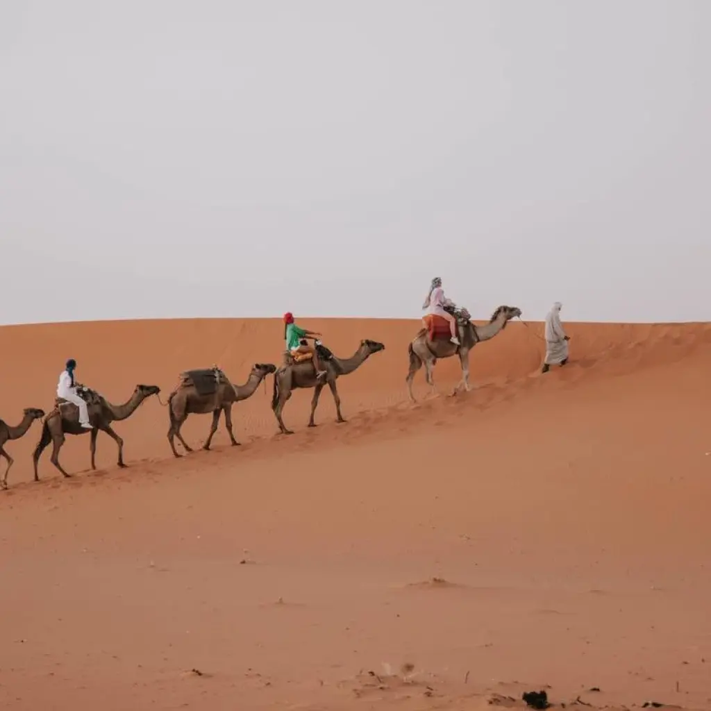 Explore 5 days Morocco Sahara Desert Tour from Marrakech to Fes for 5 days with Escorted Morocco Tours and discover unforgettable experiences - Photo 2