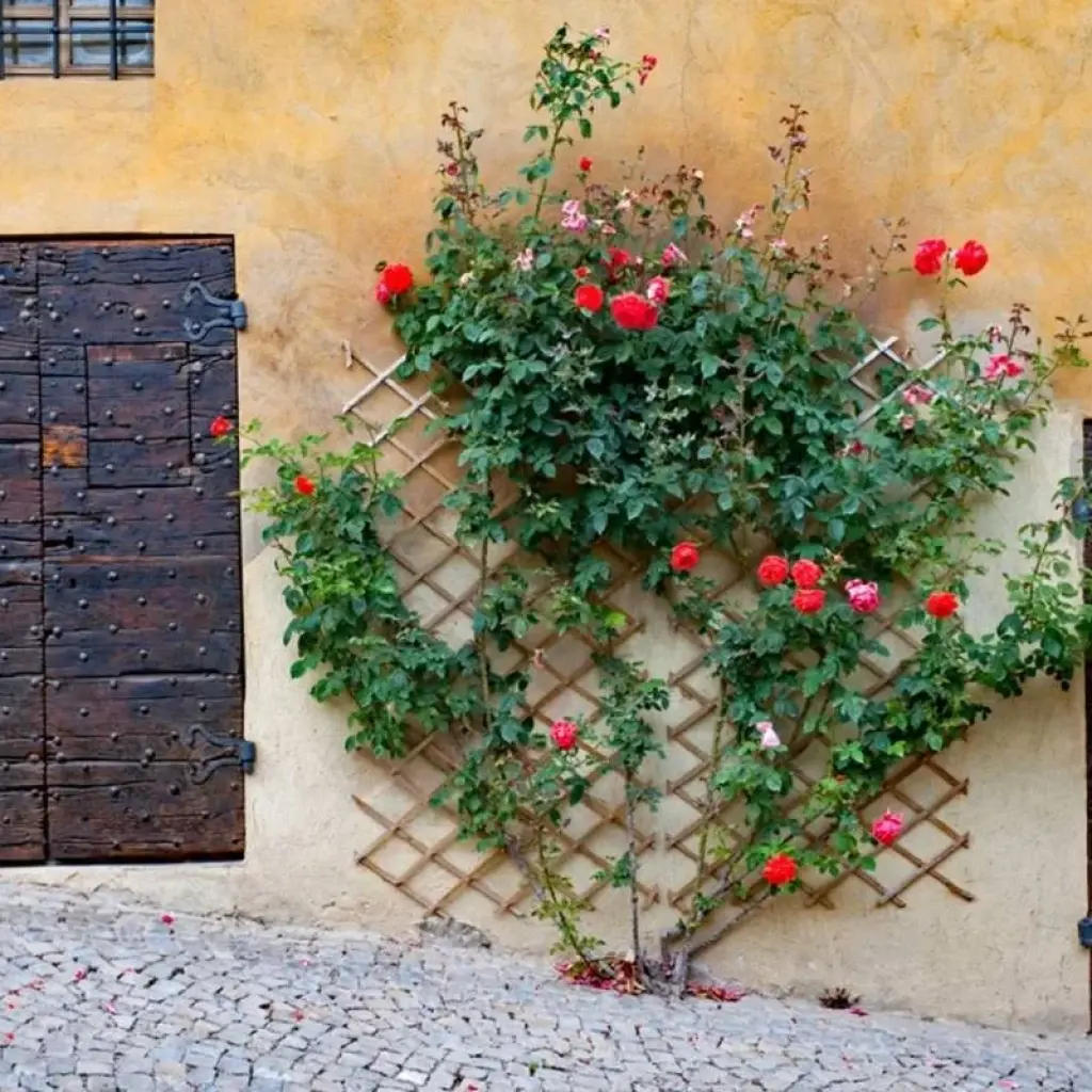 Explore Piedmont – based in one hotel for 7 days with Eurobike and discover unforgettable experiences - Photo 2