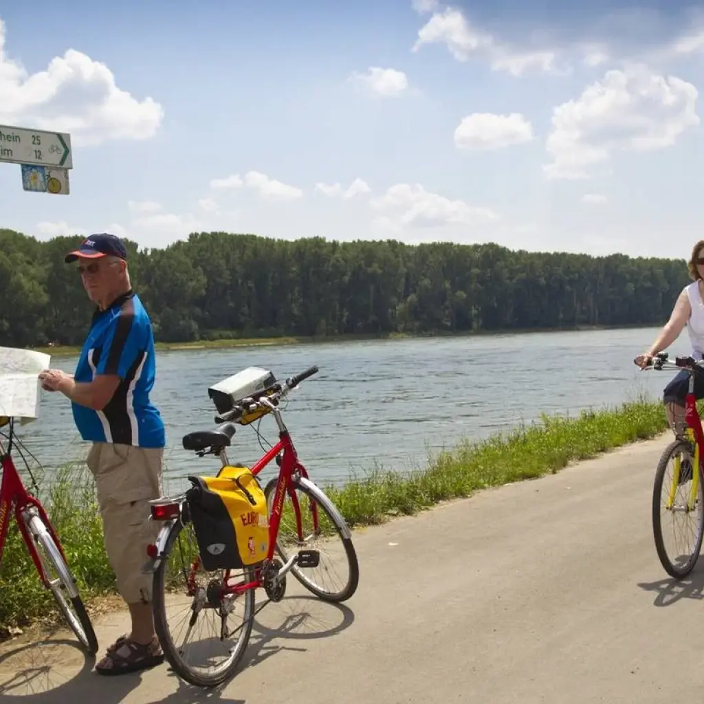 Explore Pfalz Wine Tour based in one hotel 7/6 for 7 days with Eurobike and discover unforgettable experiences - Photo 2