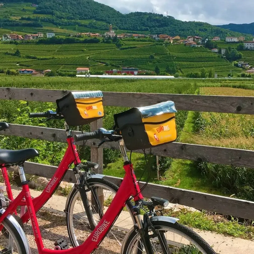 Explore Lake Reschen - Lake Garda 7/6 for 7 days with Eurobike and discover unforgettable experiences - Photo 2
