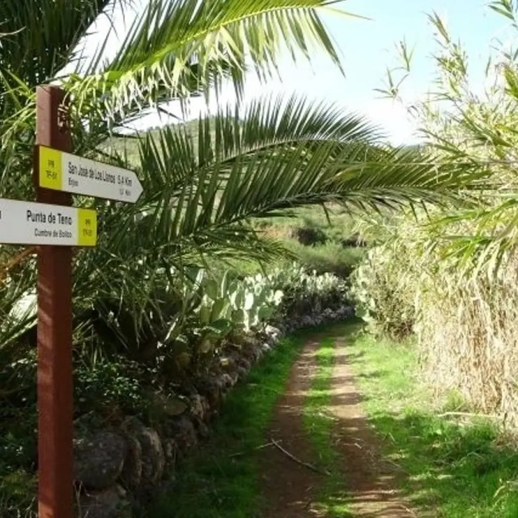 Explore Walking Paradise Tenerife for 8 days with Eurohike and discover unforgettable experiences - Photo 2